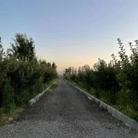 باغ بر اتوبان تهران دارای آب برق گاز|فروش زمین و ملک کلنگی|زنجان, |دیوار