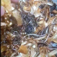 وام فوری فقط با ضمانت طلا