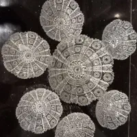 سرویس کریستال و چینی