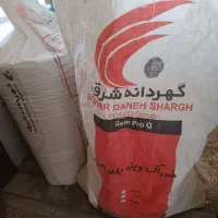 بلدرچین ماده گوشتی|حیوانات مزرعه|مشهد, سیلو|دیوار