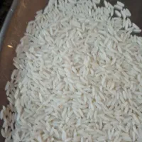 برنج هاشمی تظمینی|خوردنی و آشامیدنی|رشت, آزادگان|دیوار