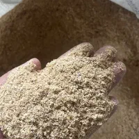 تامین کننده سبوس گندم با کیفیت