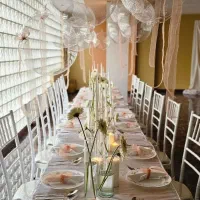 کرایه صندلی شیواری|خدمات پذیرایی، مراسم|اهواز, کیان اباد|دیوار