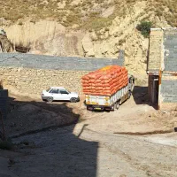 کاه گندم خرمن کوب نرم درجه یک