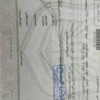 برگ سبز ماشین و برگ کمپانی گم شده