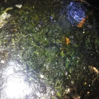 سنگ اوپال سیاه اصل|کلکسیون و سرگرمی|اصفهان, شهرک زاینده رود|دیوار