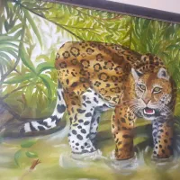 ۲۰ عدد تابلو نقاشی رنگ روغن‌