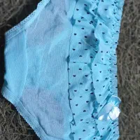 چندتا. شورت. سوتین|لباس|رشت, حمیدیان|دیوار