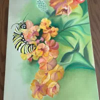 تابلو های رنگ روغن طرح گل و پروانه|تابلو، نقاشی، عکس|تهران, درکه|دیوار