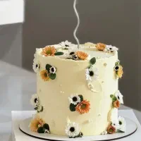 کیک تولد|خوردنی و آشامیدنی|سبزوار, شهرک صنعتی خاوران|دیوار