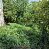 فروش زمین ۱۵۰ متری با سندمالکیت اطاقور