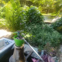 سفره خانه سنتی قهرمانی