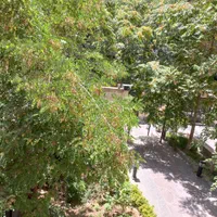 اجاره روزانه آپارتمان مبله ۸۰متری یک خواب منطقه یک|اجارهٔ کوتاهمدت آپارتمان و سوئیت|تهران, ازگل|دیوار