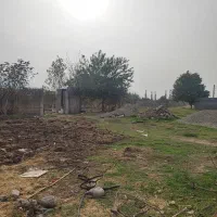 زمین باغی در خان ببین روستای محمدآباد