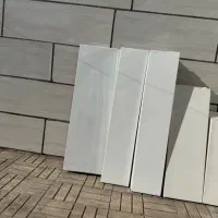 رگال و قفسه