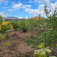 باغ ۲۰۰۰ متر|فروش خانه و ویلا|تهران, بوستان سرخه حصار|دیوار