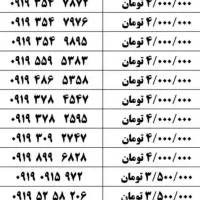 ۰۹۱۱-۱۷۱-۸۲۵۲