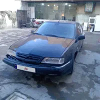 زانتیا مشکی