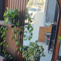 فروش کامل تجهیزات کافه