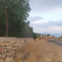 فروش یه قطعه باغ