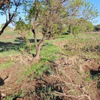 .باغ ۲۰۰۰هزارمتری با ۱.۵ساعت آب از موتور|فروش زمین و ملک کلنگی|قزوین, |دیوار