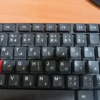 کاربر خانم مسلط به کامپیوتر