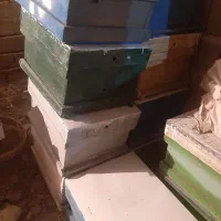 کندو زنبورعسل