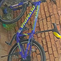 دوچرخه المپیا ۲۶ حرفه ای