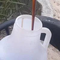 شیره خرما|خوردنی و آشامیدنی|وحدتیه, |دیوار