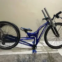 دوچرخه فونیکس