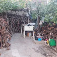 چوب|عمدهفروشی|تهران, تسلیحات|دیوار