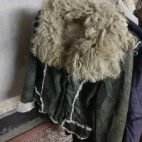 کاپشن و پالتو زنانه|لباس|اصفهان, سمسور|دیوار