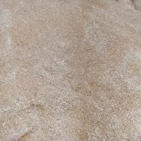 گندم بوجاری شده ریژوا