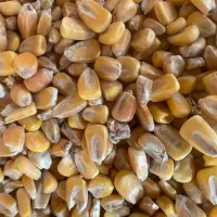 نیازمند سرمایه گذار منصف و شایسته|خدمات مالی، حسابداری، بیمه|اردبیل, |دیوار