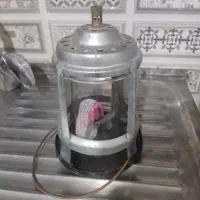 سر گاز پکینیک زنبوری