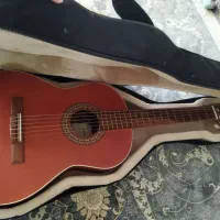 گیتار پارسی p40