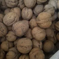 گردو درجه یک