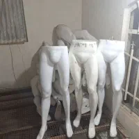 مانکن|فروشگاه و مغازه|شهریار, شهریار|دیوار