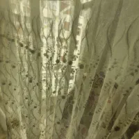 وسایل منزل ظرف کریستال و گل پنبه و پرده