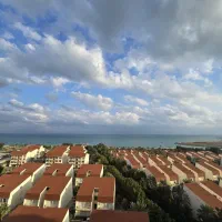 رهن-دامون-کیش-ایر-فرنیش