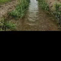 فروش،آب کشاورزی