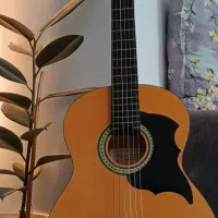 گیتار فروش فورری