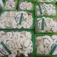 فروش قارچ اسلایس