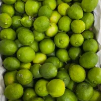 کار در میوه قروشی
