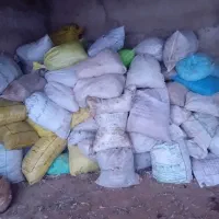 کود کبوتر خشک و تمیز همه ۱۲ ماه سال موجود