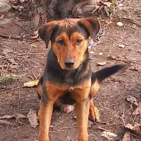 معاوضهباتولهسرابی