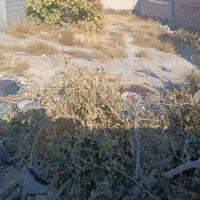 زمین مسکونی