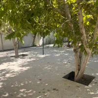 اجاره روزانه باغ صدرا|اجارهٔ کوتاه‌مدت ویلا و باغ|شیراز, علوم پزشکی|دیوار