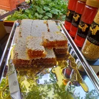 عسل طبیعی بهاره به شرط مرجوعی