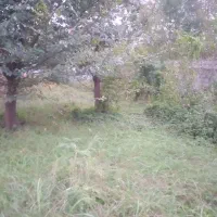 زمین-بامجوزدوردیوار400م-سنگرشهرستان